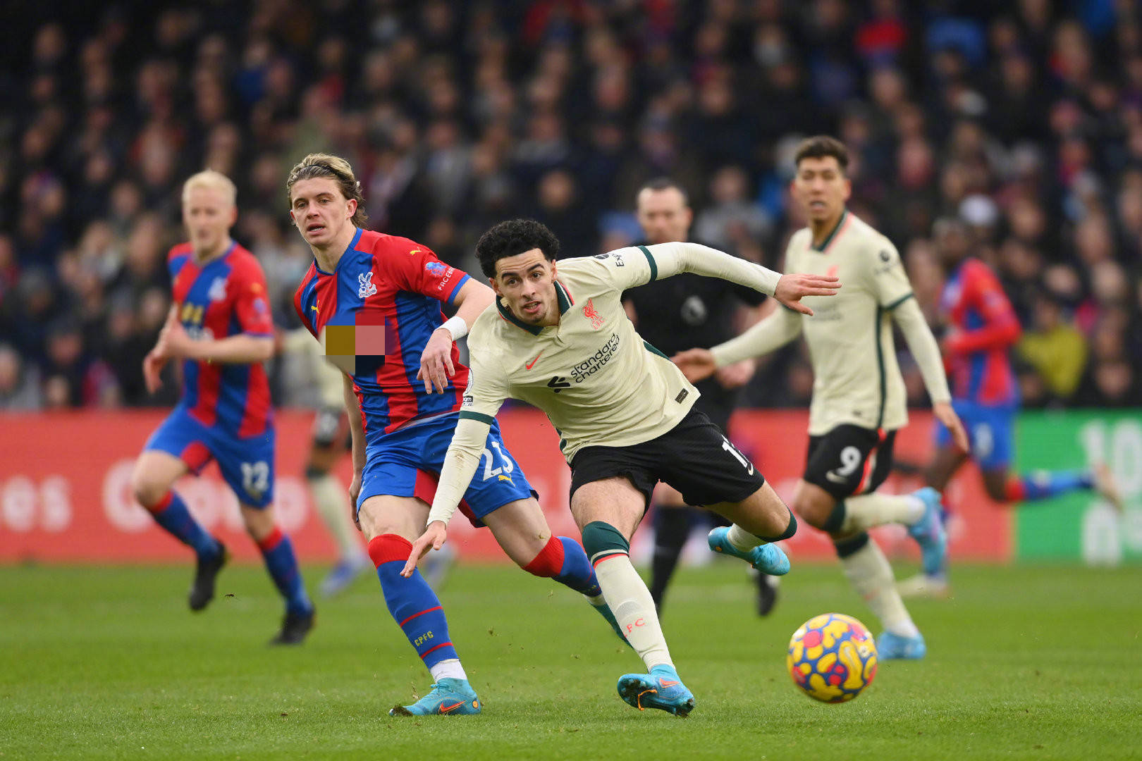 王励勤不仅 王励勤不仅